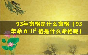 93年命格是什么命格（93年命 🌲 格是什么命格呢）